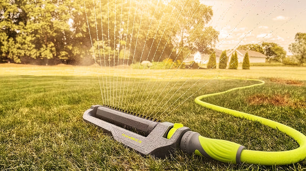 Lawn Care Tips & Tricks for July and Summer Heat